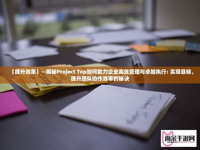 【提升效率】--揭秘Project Top如何助力企业高效管理与卓越执行: 实现目标，提升团队协作效率的秘诀